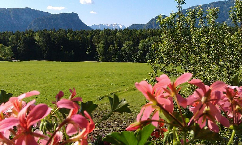 Gaestehaus Restner - Chiemgau Karte インツェル エクステリア 写真